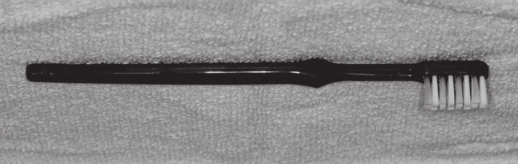 ZAZE et al. de placa quando as escovas foram utilizadas na dentadura mista.