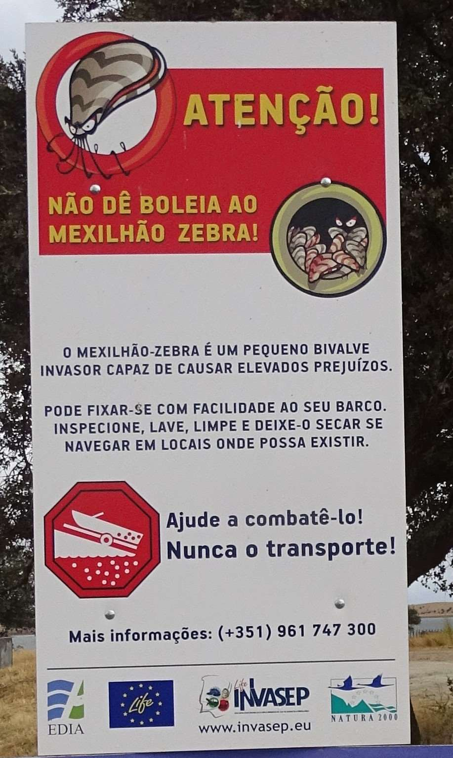 Importante avaliar: 1. Incidência comportamentos de risco 2.