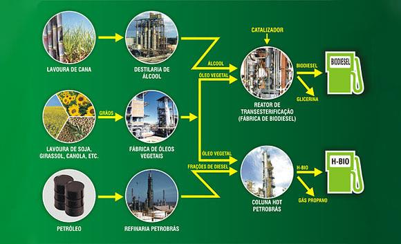 Interesses Econômicos Alimentação humana