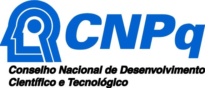 Desenvolvimento Científico e Tecnológico (CNPq) Edital MCT/CNPq 42/2007 Carlos Henrique Marchi Coordenador do projeto Professor associado da Universidade Federal do Paraná (UFPR)