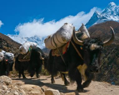 décadas, povoando os sonhos de alpinistas e aventureiros e, mais recentemente, de pessoas de todas as partes do