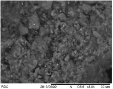 Na microscopia de varredura eletrônica, diferentemente do teste de granulométrica, foram utilizadas amostras brutas, nos