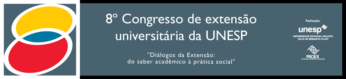 Competições SAE Autor: Lucas Gomes Passos, Co-Autor: Prof. Dr.