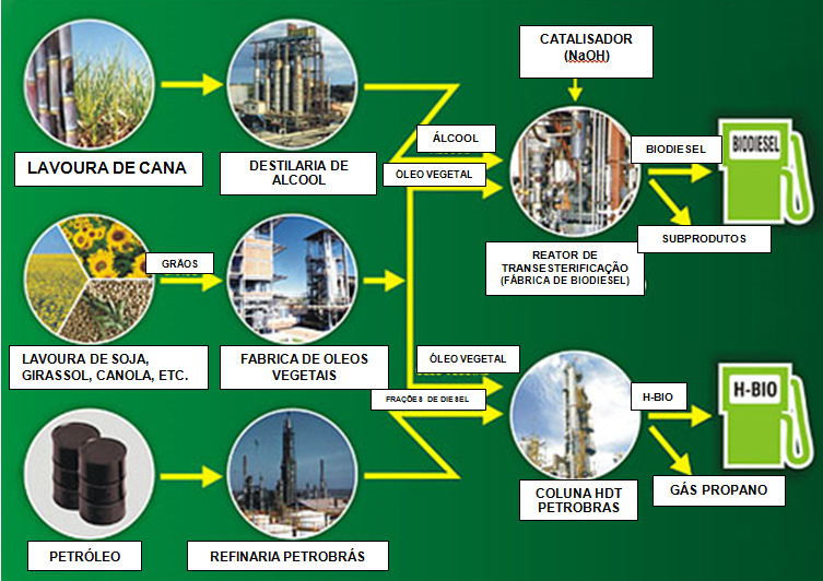 Questão 03 O H-BIO é um combustível desenvolvido pela Petrobrás que incorpora óleo vegetal junto com as frações de diesel na alimentação das colunas de hidroconversão (HDT) de algumas refinarias de