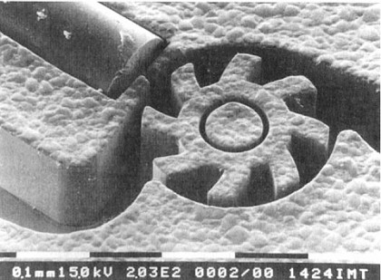 ser utilizadas como moldes para na fabricação de estruturas poliméricas.