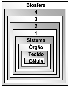 e) o tipo de interação das diferentes espécies que ocorrem em uma área. 25.