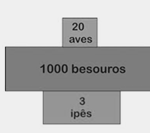 RESUMO A cadeia alimentar é uma sequência que mostra a alimentação entre os seres vivos de forma unidirecional e os classifica em produtor, consumidor e decompositor. Número Ex.