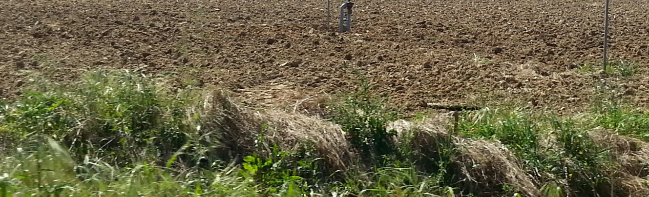 Em 30 de abril de 2015 e segundo o índice meteorológico de seca PDSI, mantém-se a situação de seca em todo o território do Continente com 17.6% em seca fraca, 79.0% em seca moderada e 3.