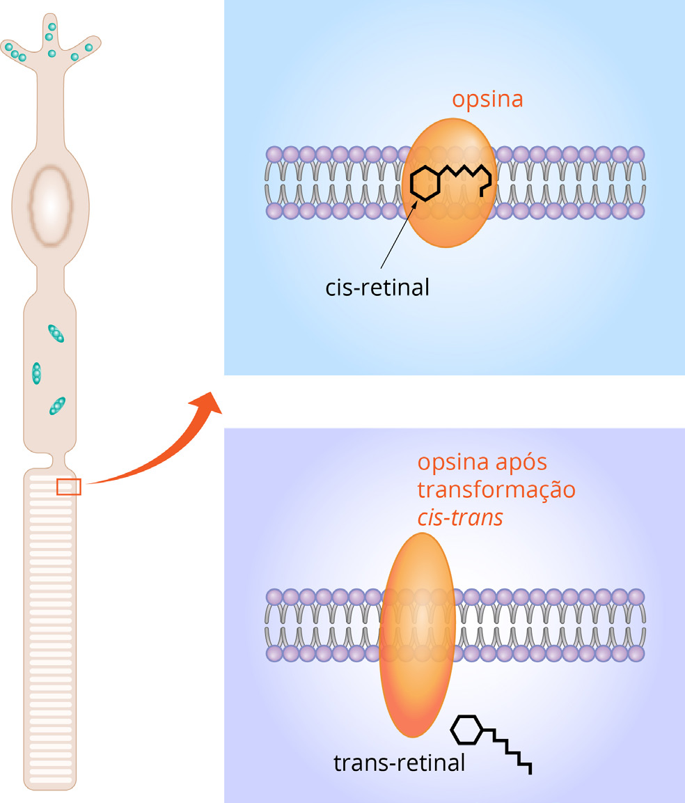 Eletromagnetismo» Sinais Elétricos no Corpo Humano