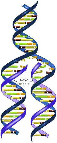 exatas da mol.