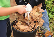 Reciclar Local: Jardim de Plantas Aromáticas e