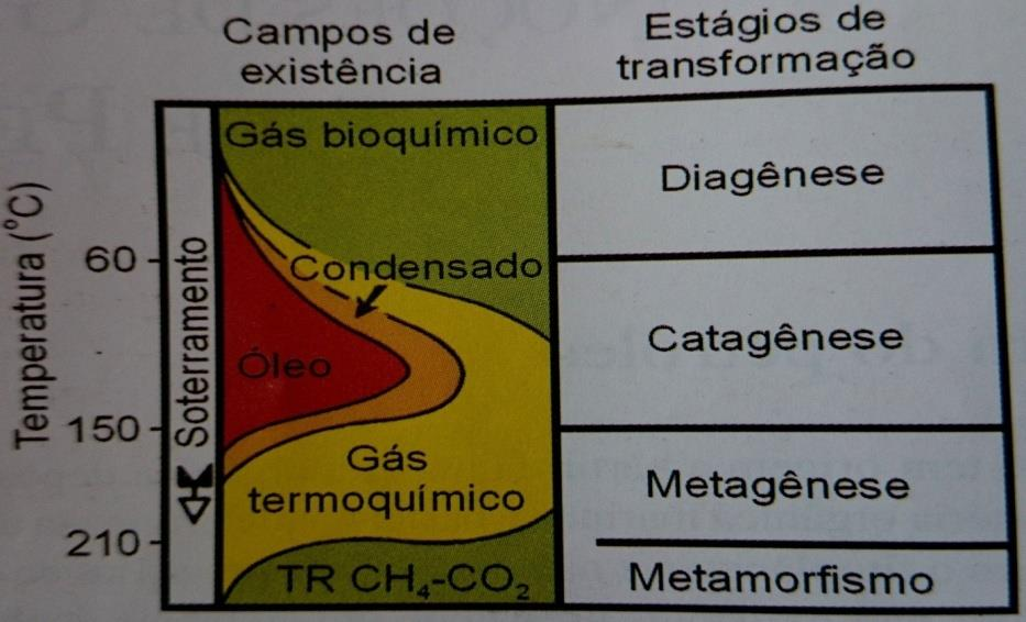 25 ela, essas rochas geralmente são folhelhos negros e lamas carbonáticas, são as primeiras a serem depositadas nas bacias, suportando toda pressão causada pelos outros sedimentos sobrepostos.