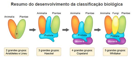 Figura 1. Grupo das plantas apresentado em diferentes proposta taxonômica. Atualmente, definimos o que é planta com base na sistemática filogenética.