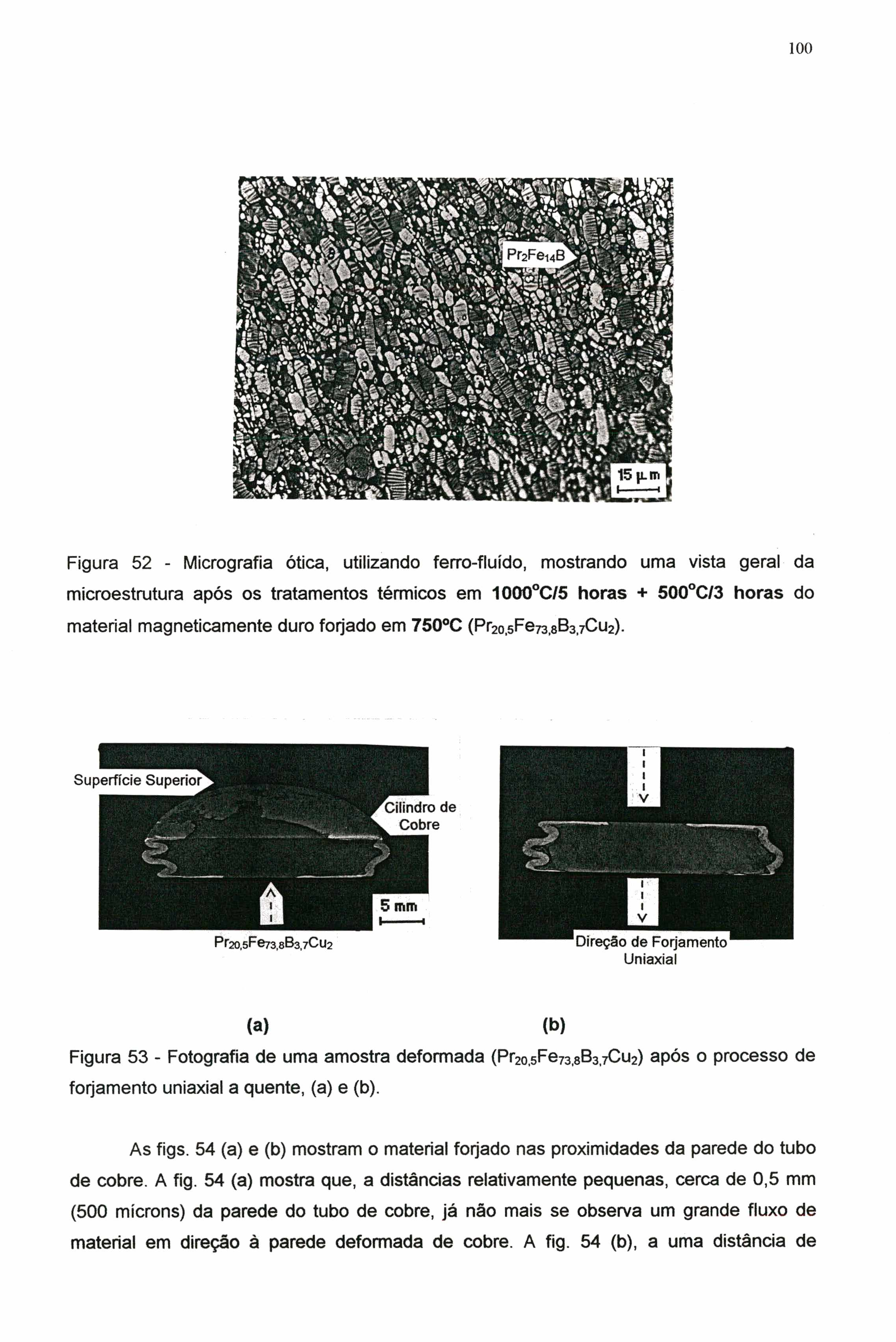 100 Figura 52 - Micrografia ótica, utilizando ferro-fluído, mostrando uma vista geral da microestrutura após os tratamentos térmicos em 1000 C/5 horas + 500 C/3 horas do material magneticamente duro