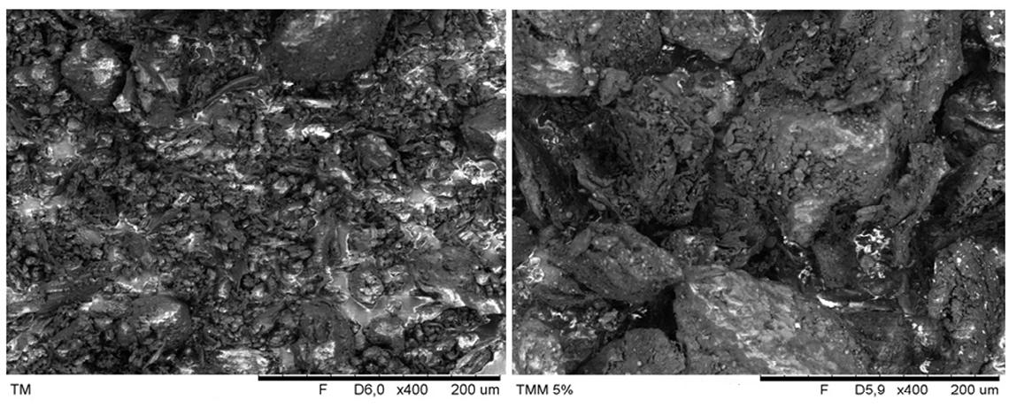 Figura 3: Micrografia eletrônica de varredura da torta de mamona pura e mercerizada a 5% NaOH Tabela 1: Módulo de Elasticidade, Força Máxima e Tensão na Ruptura Módulo de Tensão na Ruptura Mistura