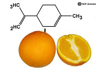 Relatório do 1º Trabalho de Química Orgânica Isolamento e purificação do (+)-Limoneno a partir do óleo de laranja (2 sessões) 1ª sessão: Isolamento do