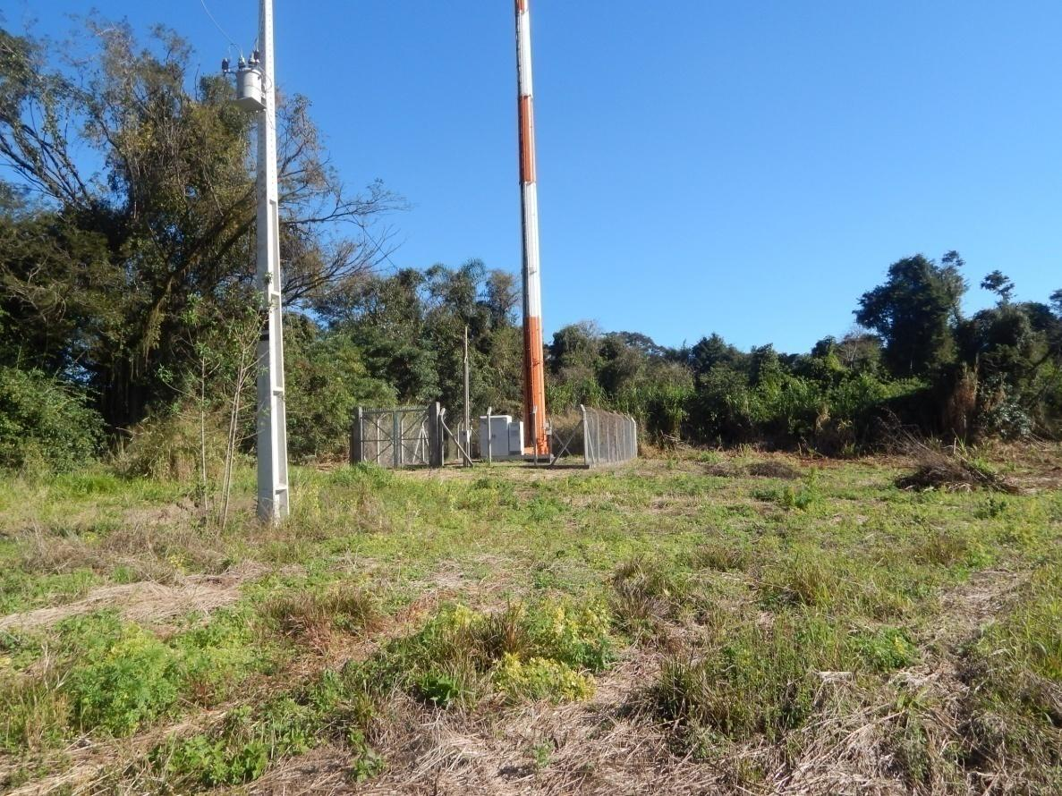 18 Figura 6- Vista parcial da rede elétrica e da torre de telecomunicação presentes no lado leste do fragmento florestal no município de Campo Mourão- PR.