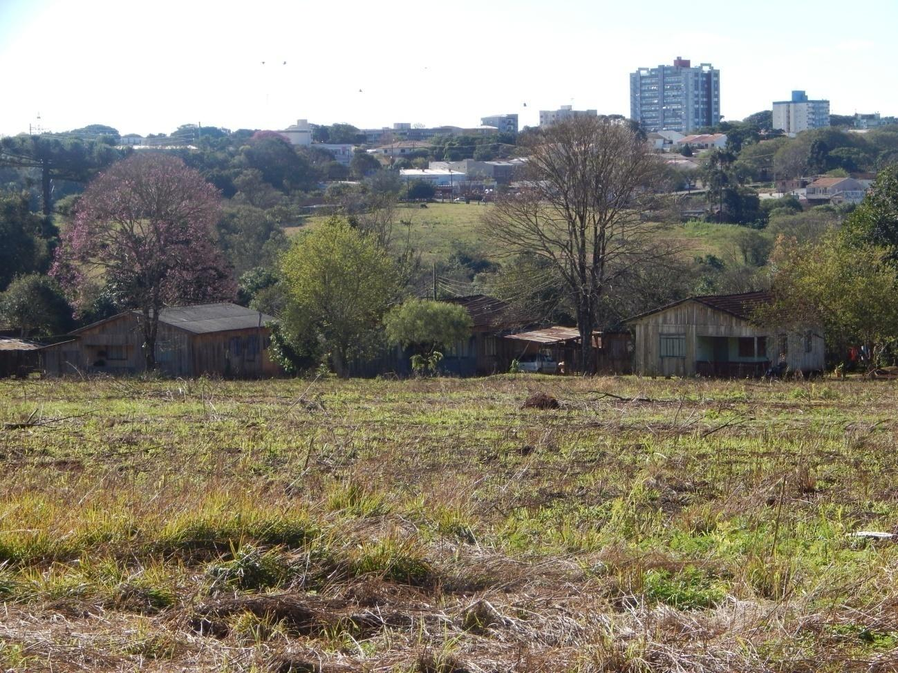 19 Figura 7- Habitações próximas a área desmatada, na fronteira leste do fragmento florestal no município de Campo Mourão- PR. 4.