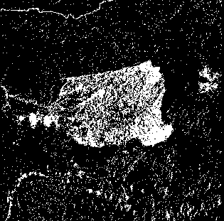 Para o parâmetro d da equação (9) (grau do polinômio), foram realizados testes com d variando de até 0. Os valores testados para a variável de folga C foram 0, 5 e.