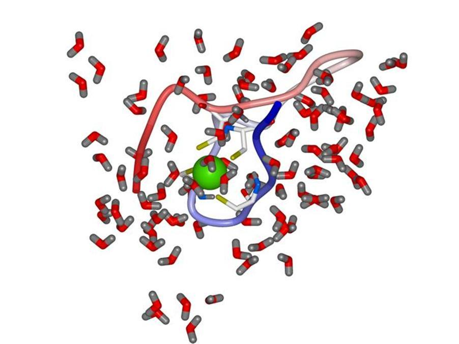 Acetyl-CoA 3H 2 O+2CO 2 Em leveduras, a álcool desidrogenase tem função de catálise inversa >> crucial na