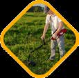 cortar/ aparar áreas gramadas, plantas rasteiras e pouco densas, manutenção de jardins FAIXA DE FREQUÊNCIA POTÊNCIA VELOCIDADE CORTE 127V