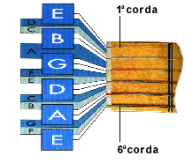 Cordas soltas: 1a corda= MI (E) 2a corda = Si (B) 3a corda = Sol (G) 4a corda = Ré (D) 5a corda = Lá (A) 6a corda= Mi (E) O braço do violão está dividido em casas (pequenos retângulos delimitados por