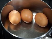Progression 1. Coloque os ovos em um tamanho adequado panela membrana. 2.