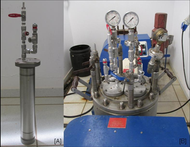 44 reator em média consistência e aquecida até as temperaturas pré-determinadas (Tabela 3). Com a temperatura atingida e sob o efeito de agitação constante, o oxigênio foi injetado.