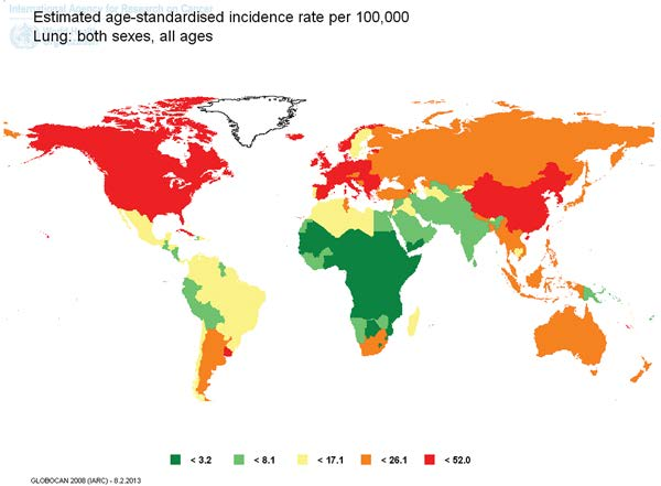 20 Figura 2 - Câncer de Pulmão no mundo: estimativa de idade x incidência por idade Fonte: Ferreira (2013).