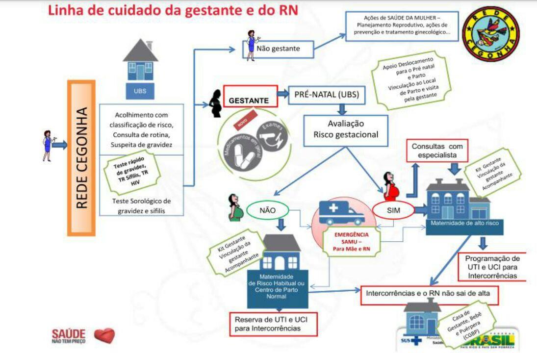 reunimos para discutir sobre a rede cegonha.