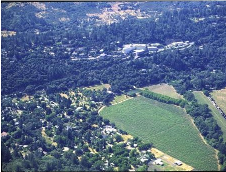 linguagem e diversidade de esportes. Pilgrim School (California) Reedley, California 2.