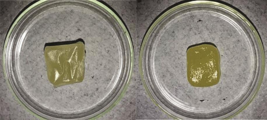 59 A B Figura 15. Balas mastigáveis convencionais (A) e balas de reduzido valor calórico (B) de araçá amarelo (Psidium cattleianum Sabine), no sexto mês de armazenamento. Fonte: VERGARA (2015).