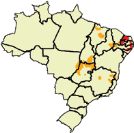 Para 80% do território nacional, as simulações do HadGEM2 ES e do Miroc5 coincidiram.