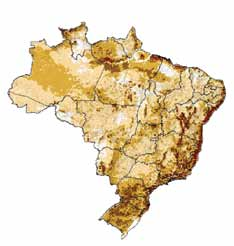 Em São Paulo, risco se eleva em 10% n Muito alto n Alto n Médio n Baixo Muito baixo DESLIZAMENTOS Risco sobe entre 3% e 15% nas regiões serranas, como a divisa de São Paulo, Rio de Janeiro e Minas
