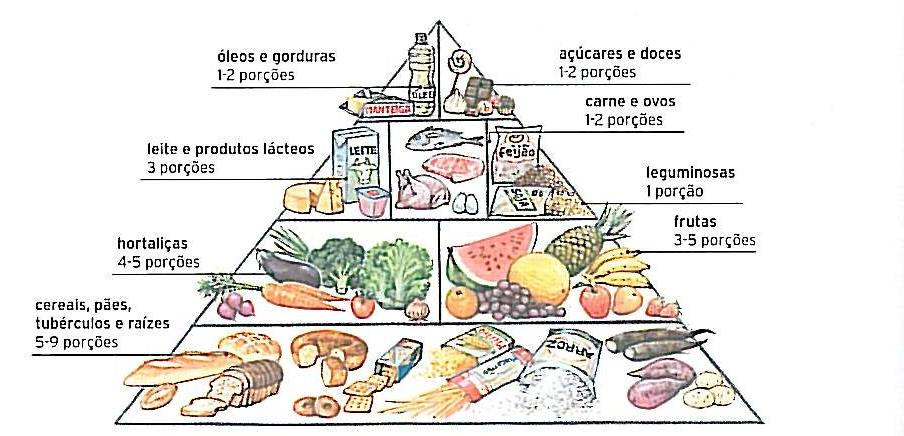 A reportagem deverá conter informações sobre os hábitos de alimentação das crianças e dos jovens e também dicas para uma alimentação saudável. Veja a ilustração a seguir.