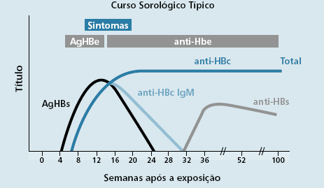 22 Figura 5 Curso sorológico de infecção aguda pelo VHB (Fonte: Adaptado de www.saude.gov.br).