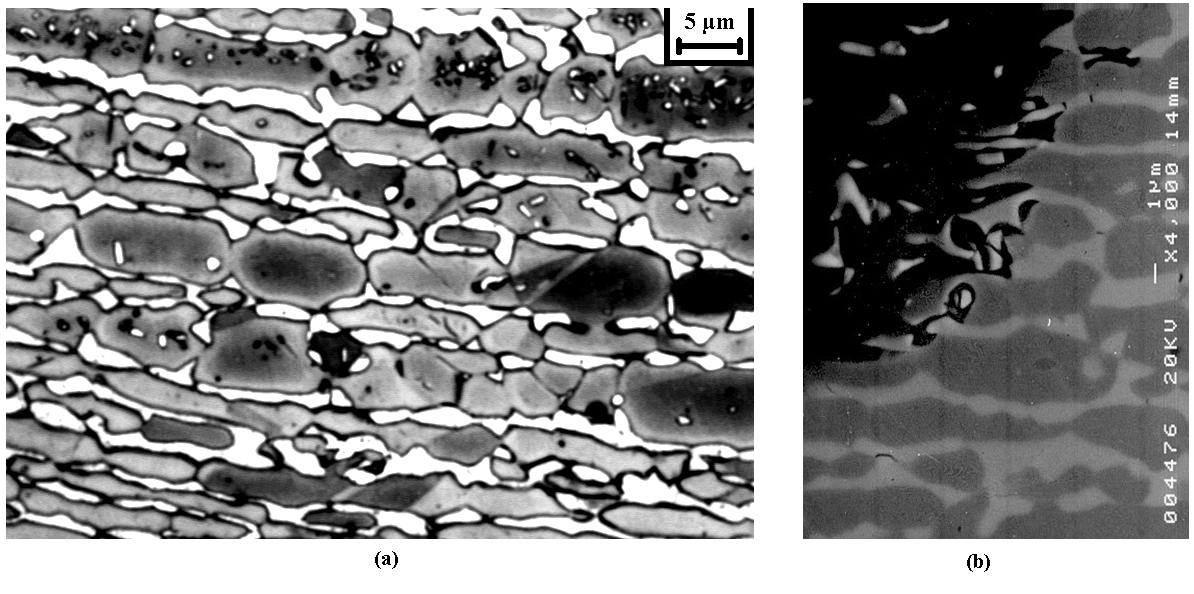 49 Figura 2.18. (a) Aço SAF 2205 envelhecido a 850ºC por 100 horas sendo a fase austenítica cinza e a fase ferrítica branca.
