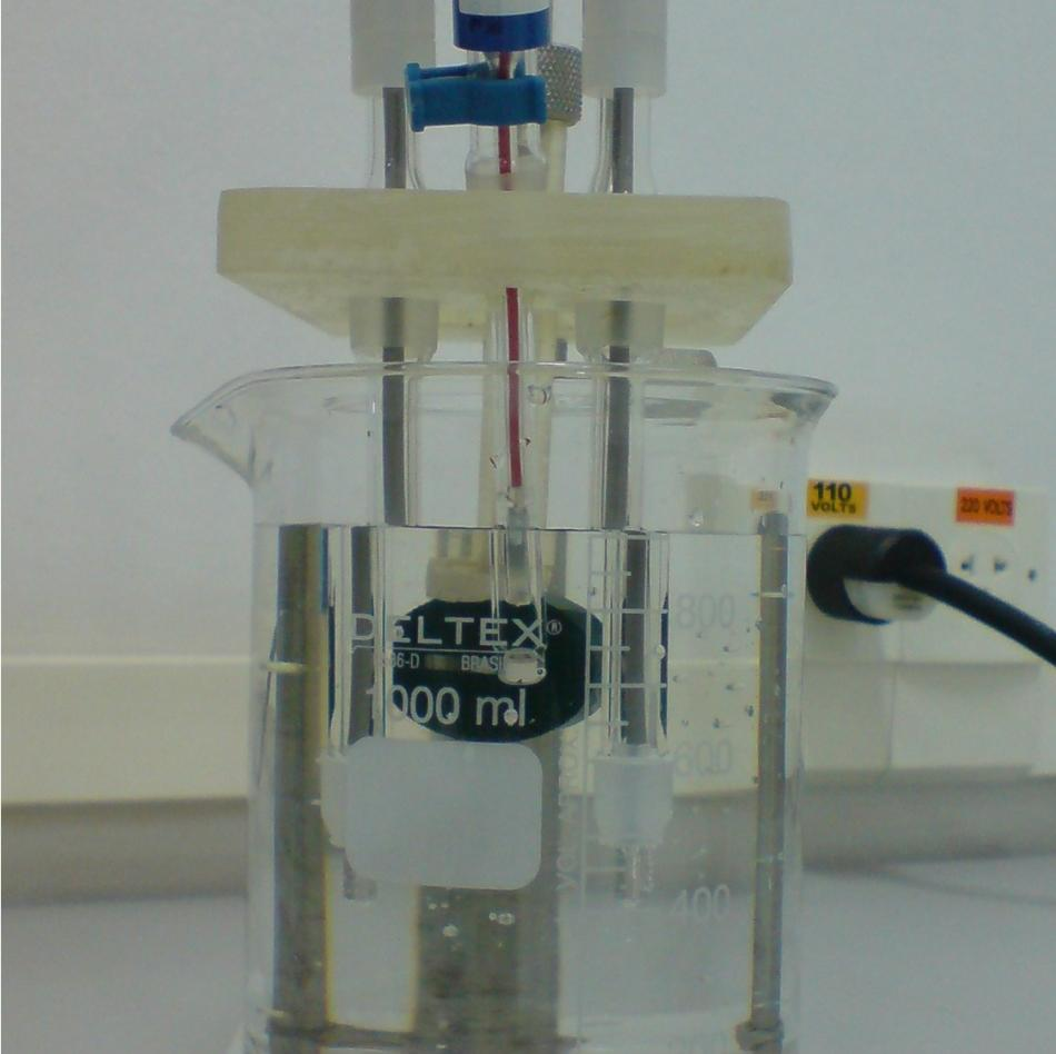 Para isto foi utilizado o eletrodo de calomelano saturado (ECS) como eletrodo de referência e dois eletrodos de platina como contraeletrodo, totalizando uma área exposta de pelo menos 3 vezes a do