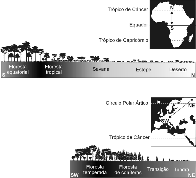 6 PROVA DE GEOGRAFIA - 2 a Etapa QUESTÃO 04 Analise estes dois perfis biogeográficos em que está representada a seqüência dos diferentes tipos de vegetação natural de parte do Continente Africano e