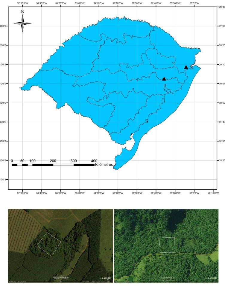 4 pertence se encontra em uma área de tensão ecológica, localizada entre formações pioneiras e Floresta Estacional Decidual (TEIXEIRA e MOURA NETO, 1986).