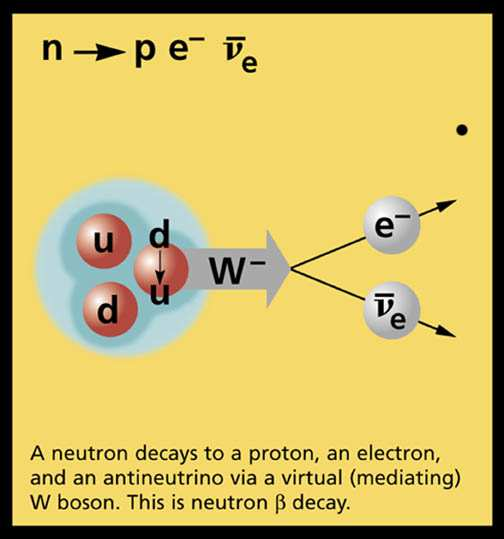Neutrinos Em 1931, Wolfgang Pauli introduziu o neutrino para salvar a