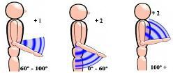 A esta pontuação, deve-se adicionar 1 ponto quando o antebraço cruza a linha média do corpo ou se há afastamento lateral.