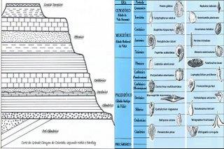 contextualizar a paleodiversidade encontrada nas rochas e