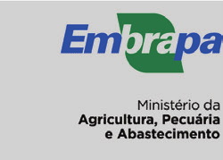 6 Doenças do Coentro no Brasil Referências LIMA, M. F.; AVILA, A. C.; WANDERLEY JUNIOR, J. L.; WANDERLEY, J. L. G. Coriander: a new host of Tospovirus in the Submedio of San Francisco Valley.