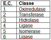 Classificação das Enzimas 5.Isomerases (Transferência de grupos dentro da mesma molécula, formação de isômeros) 5.1.racemases 5.2. Cis-Trans isomerases 5.3. Oxirredutases Intramoleculares 5.4.