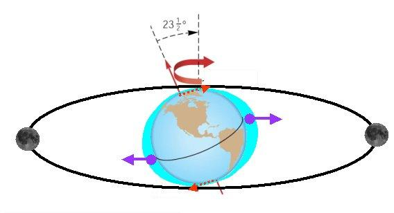 O que causa a precessão? Precessão do eixo da Terra: Decorrente das forças diferenciais do Sol e de Lua.