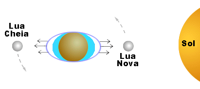 Comparação das marés produzidas na Terra pela Lua e pelo Sol Maré: A maré provocada pelo Sol tem um efeito inferior a menos da metade do efeito provocado pela Lua.