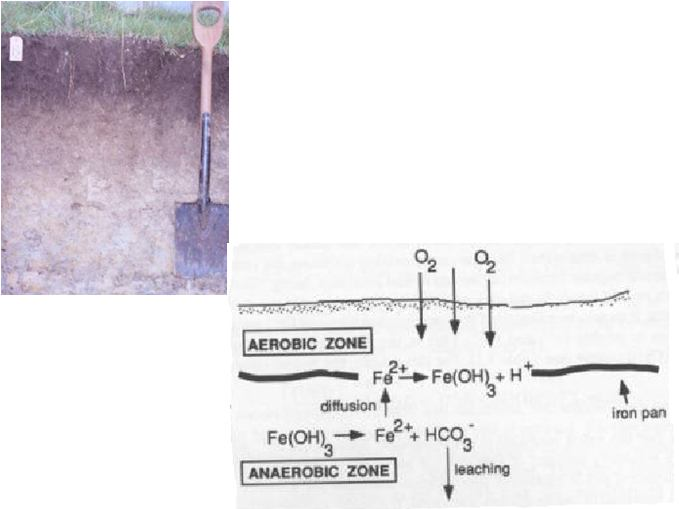 Oxidação-redução Oxidação reação importante na intemperização de minerais ferromagnesianos (Fe 2+ e Mn 2+ ) Oxidação na estrutura do mineral aumento de carga + é compensado com a liberação do cátion