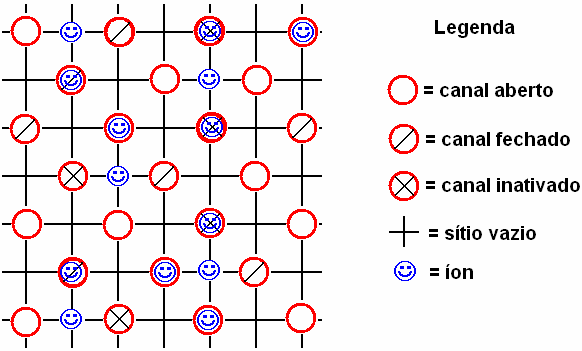 62 Tabela 4. Dinâmica utilizada na simulação computacional.
