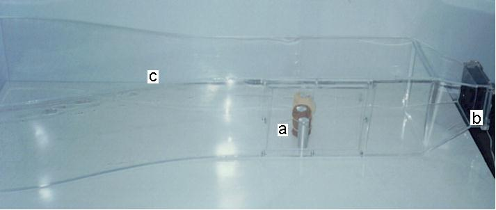 Figura 2.4. Túnel de vento: a- cápsulas com gelo, b - ventilador, c seção de teste. 3. RESULTADOS E DISCUSSÕES 3.1.